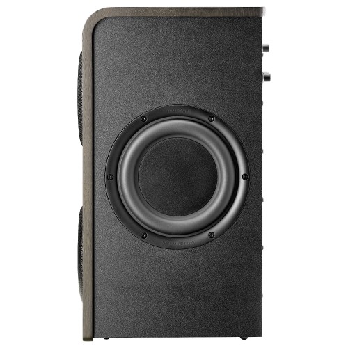 Monitor de Estudio Activos Focal Shape Twin side