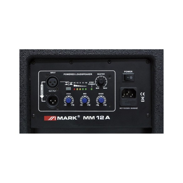 Monitor activo escenario Mark MM 12 A connections