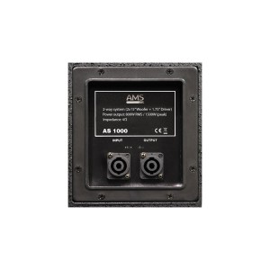 Altavoz Pasivo Full-Range AMS AS 1000 angle 2