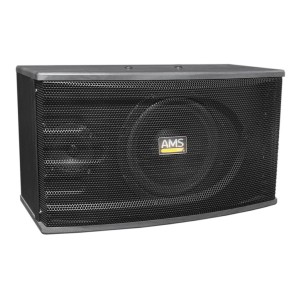 Altavoces Pasivos Full-Range AMS 150 DISCO (Pareja) angle 2