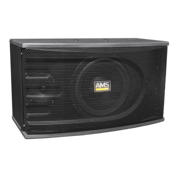 Altavoces Pasivos  Full-Range AMS 150 DISCO (Pareja) angle 2