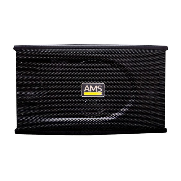 Altavoces Pasivos  Full-Range AMS 150 DISCO (Pareja) front