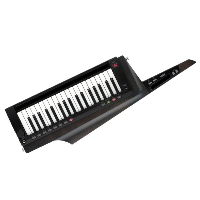 Korg Rk-100S 2 BK