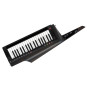 Korg Rk-100S 2 BK