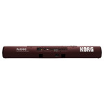Korg Pa1000