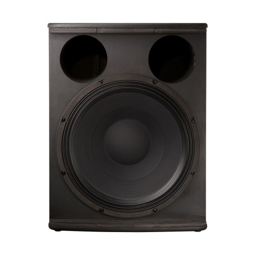 Electro-Voice ELX-118