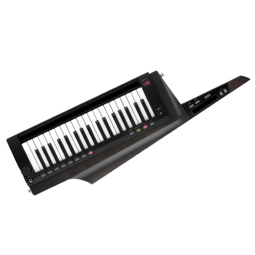 Korg Rk-100S 2 BK