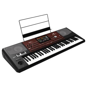 Korg Pa700 Oriental 2