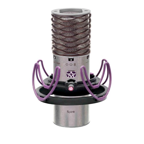  Micrófono de Condensador Estudio Aston Spirit spider-mic-detail