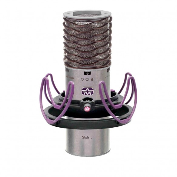  Micrófono de Condensador Estudio Aston Spirit spider-mic-detail