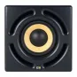 KRK 12sHO