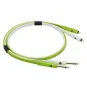 Neo d+ RTS Class B 2m (2 Jack/M Mono-2 RCA/M)