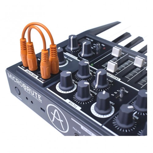  Sintetizador con Teclado Arturia MicroBrute detail