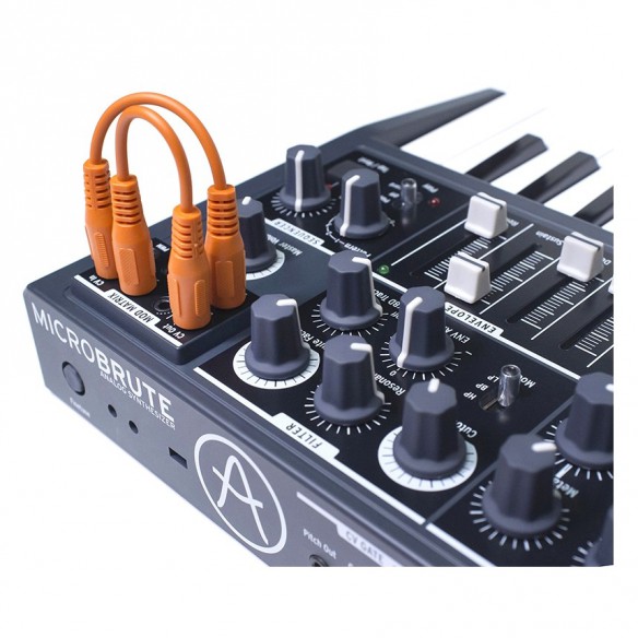  Sintetizador con Teclado Arturia MicroBrute detail