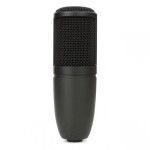 AKG P120
