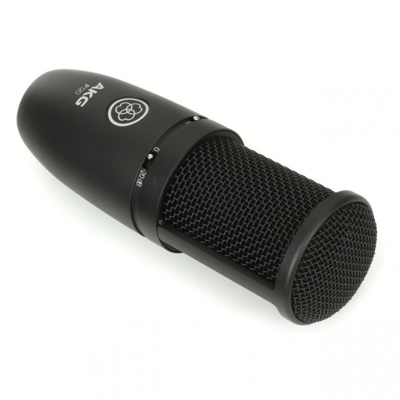 AKG P120