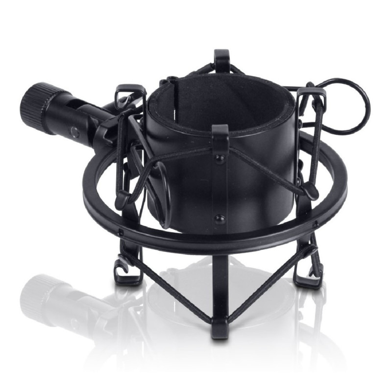 LD Systems DSM 45 B