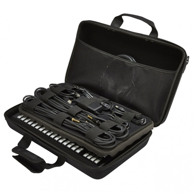 Pioneer DJ DJC-TSP16-Bag