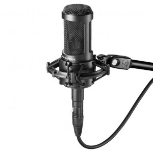 Micrófono de Condensador Estudio Audio-Technica AT2050 angle 2