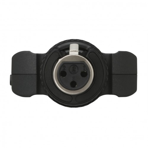 Grabadora Portátil Tascam DR-10X detail