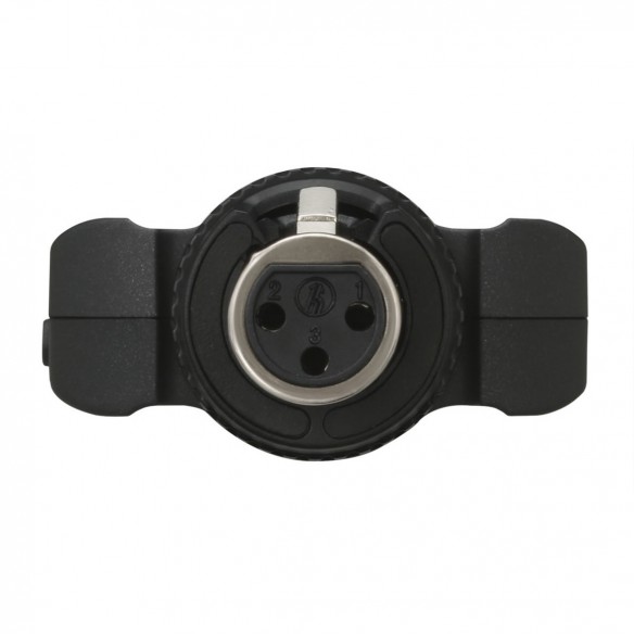 Grabadora Portátil Tascam DR-10X detail