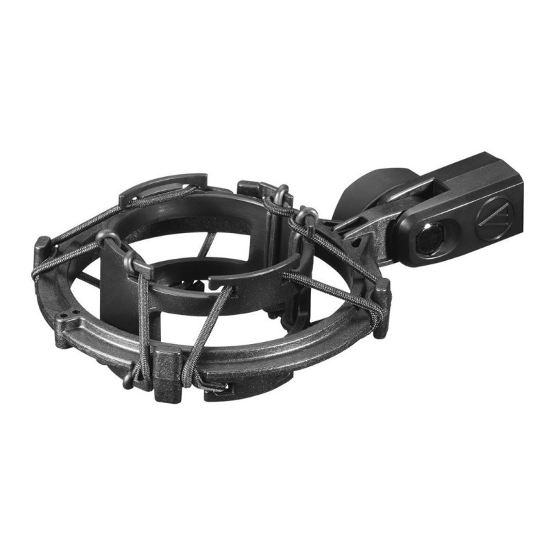 Audio-Technica AT2020V