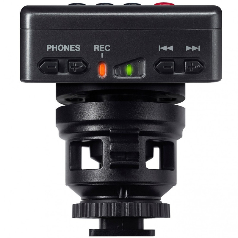 Tascam DR-10SG