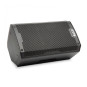 Alto Professional TS408