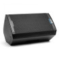 Alto Professional TS410