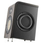 Focal Shape 50