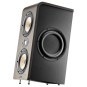 Focal Shape Twin