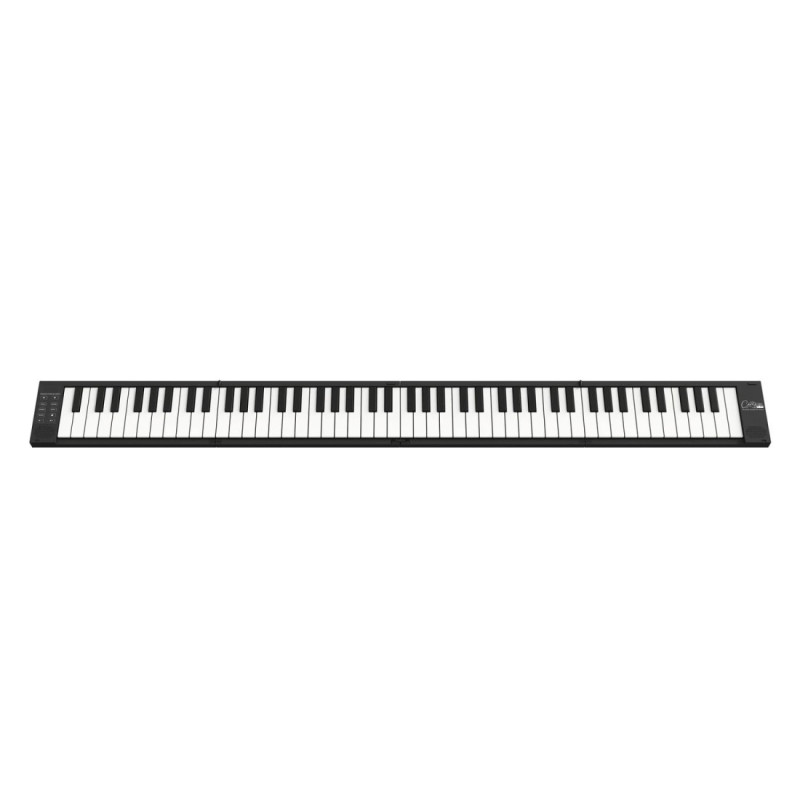 Carry On Piano 88 BK